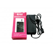 爱风鸟48V锂电充电器【方头】